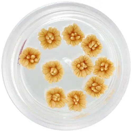 Akrilne cvetlice - gorčično rumene