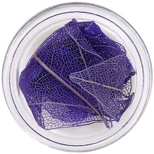 Vijolično suho listje