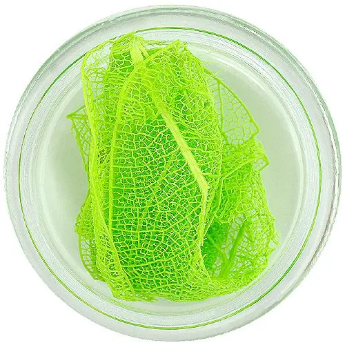 Svetlo zeleno suho listje