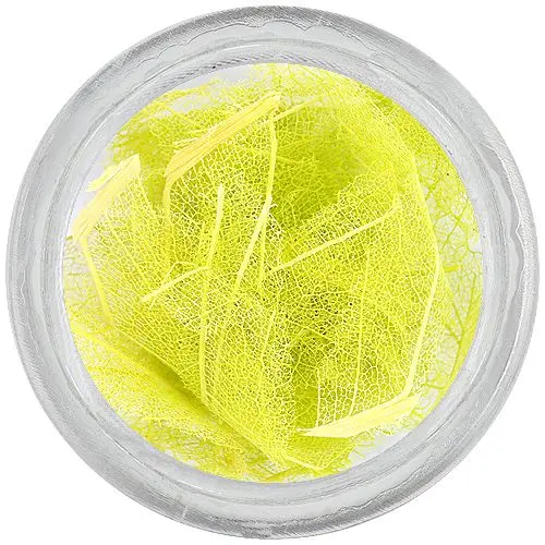 Svetlo zeleno suho listje