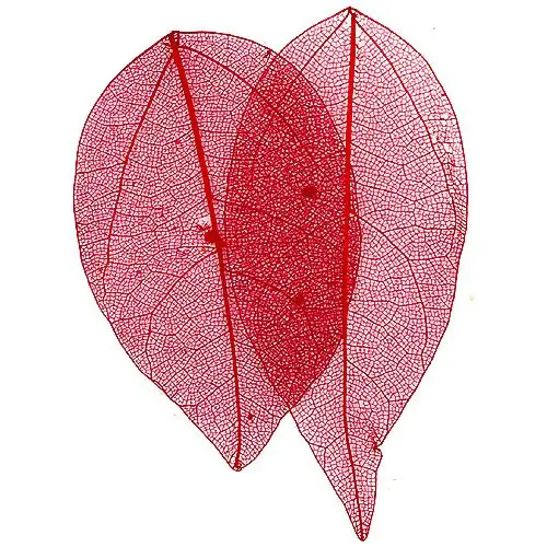 Suho listje - rdeče